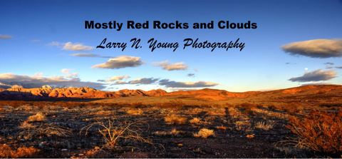 Larry N. Young Photography